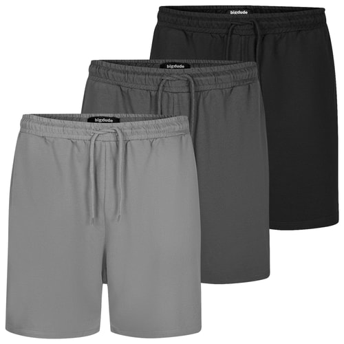 Bigdude 3 Pack Loopback Shorts Multi